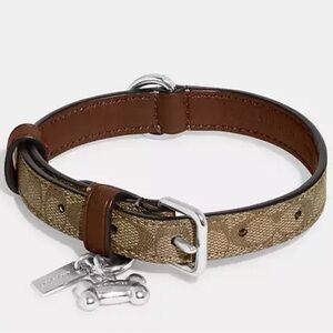 NWT Coach Leather Dog Collar Saddle Brown Silver Hardware Size Medium